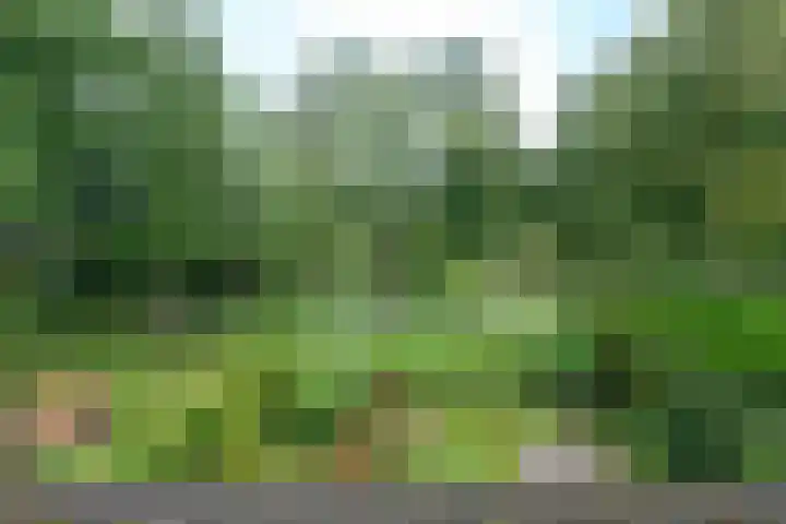 Tichelaarsdonk 128 Apeldoorn thumbnail 33