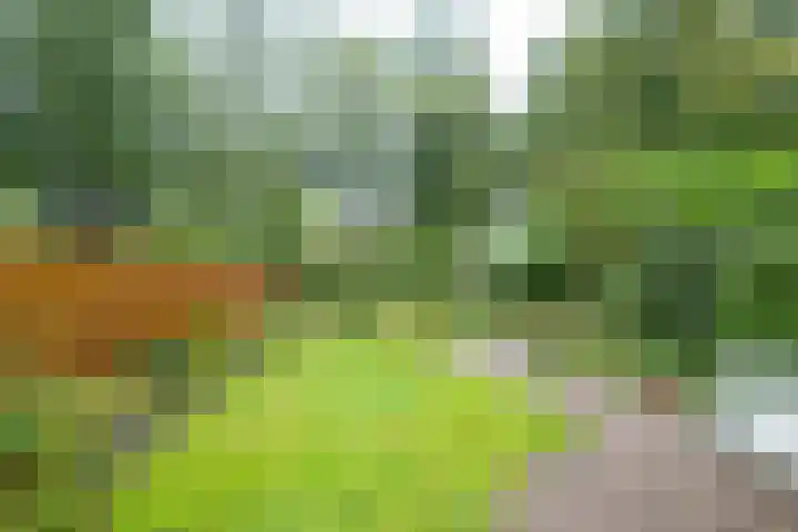 Tichelaarsdonk 128 Apeldoorn thumbnail 35