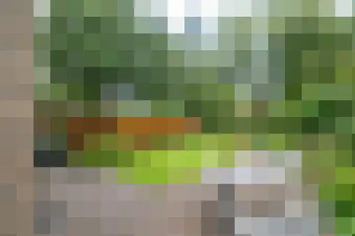 Tichelaarsdonk 128 Apeldoorn thumbnail 36