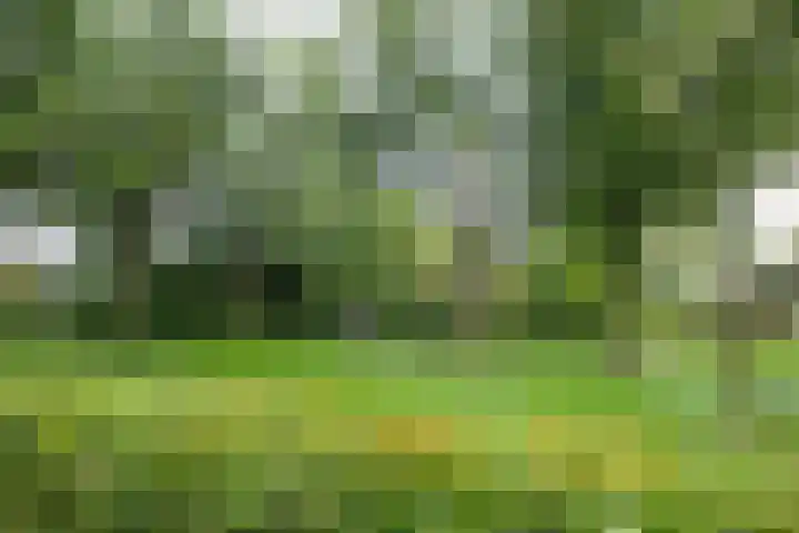 Tichelaarsdonk 128 Apeldoorn thumbnail 37