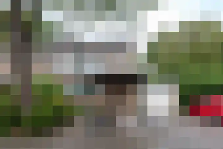 Tichelaarsdonk 128 Apeldoorn thumbnail 4
