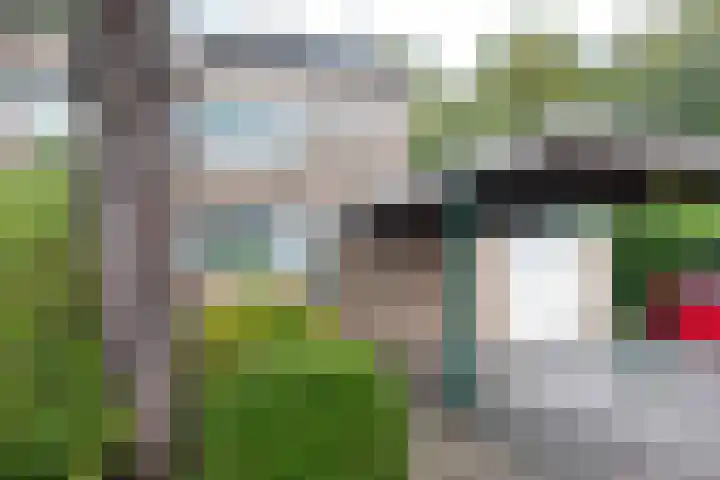 Tichelaarsdonk 128 Apeldoorn thumbnail 5
