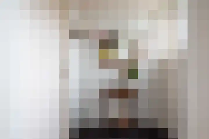 Tichelaarsdonk 128 Apeldoorn thumbnail 6