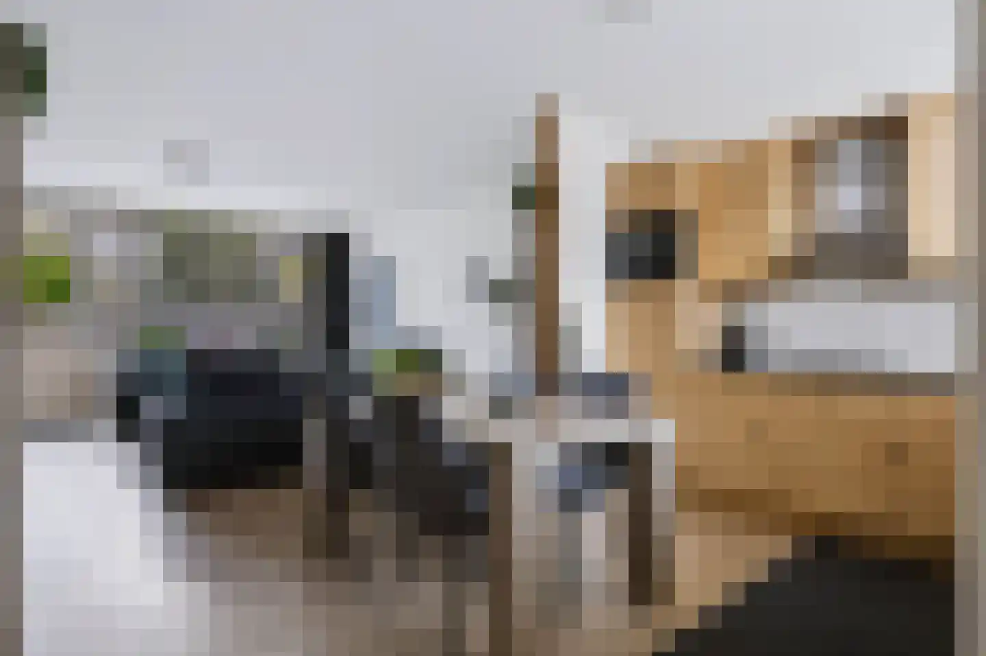 Tichelaarsdonk 149 Apeldoorn thumbnail 15