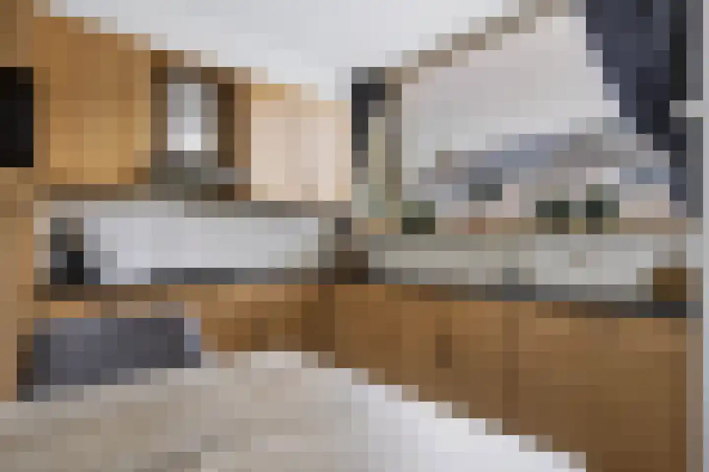Tichelaarsdonk 149 Apeldoorn thumbnail 16