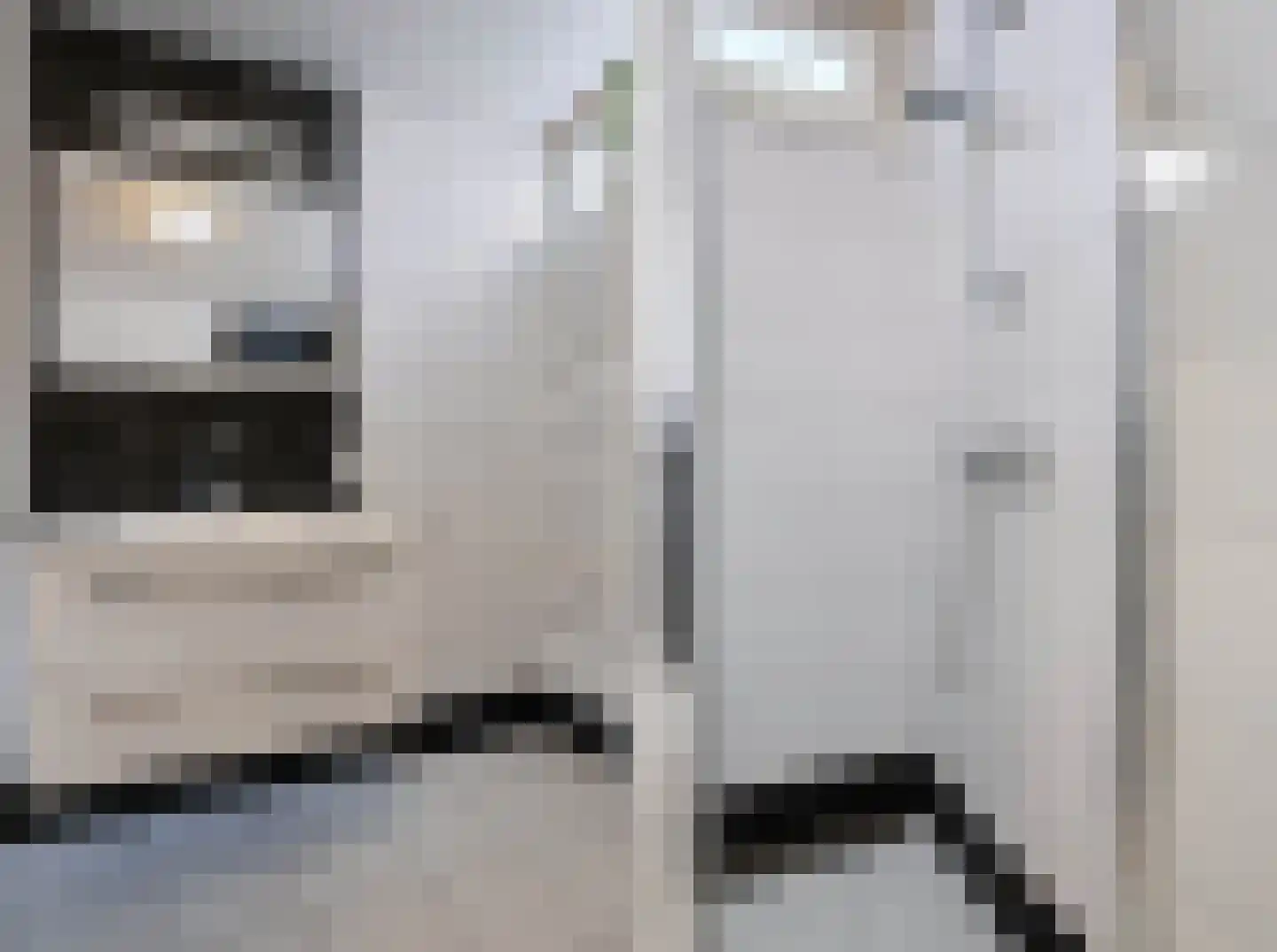 Tichelaarsdonk 149 Apeldoorn thumbnail 34