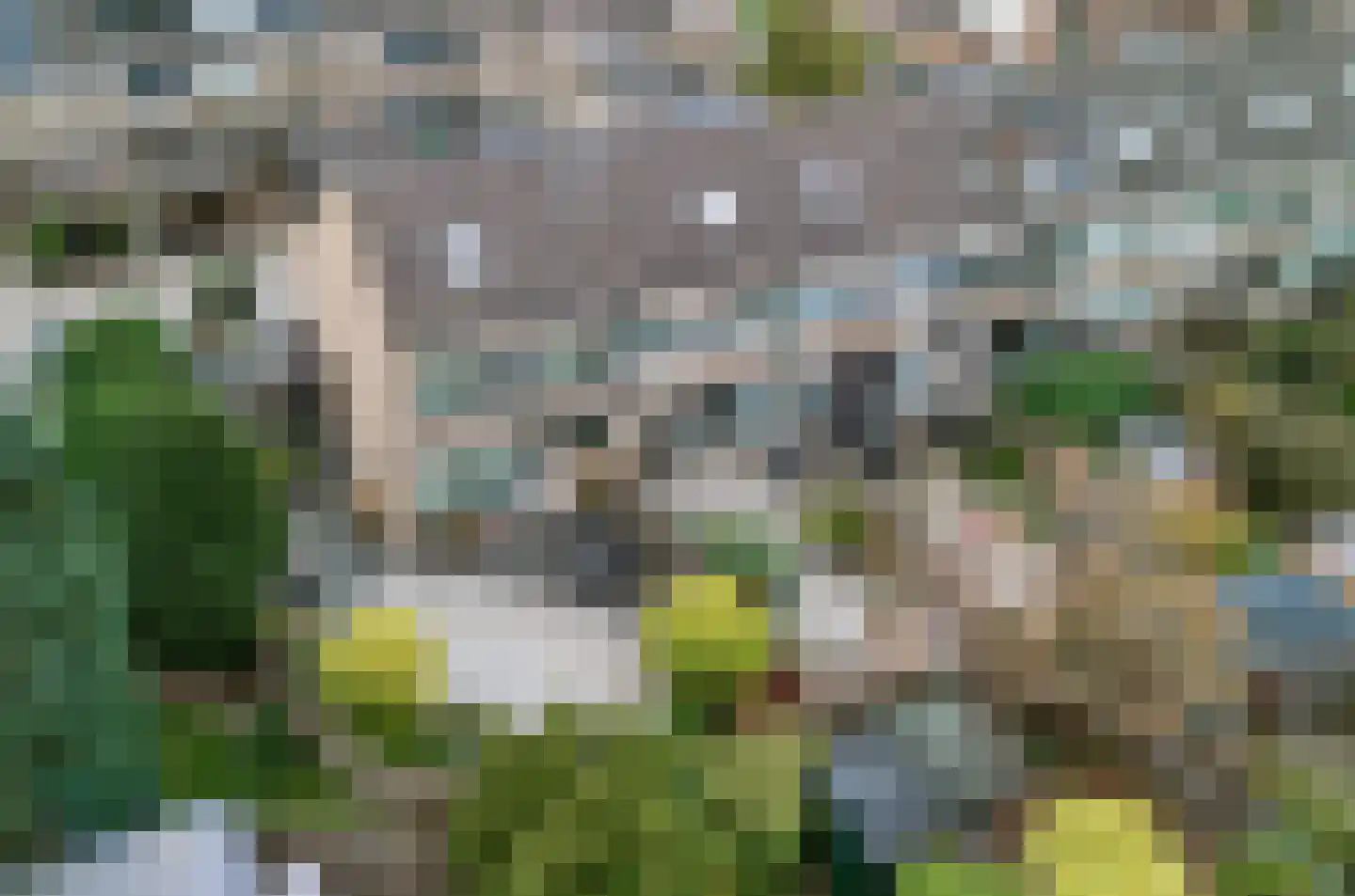 Tichelaarsdonk 149 Apeldoorn thumbnail 45