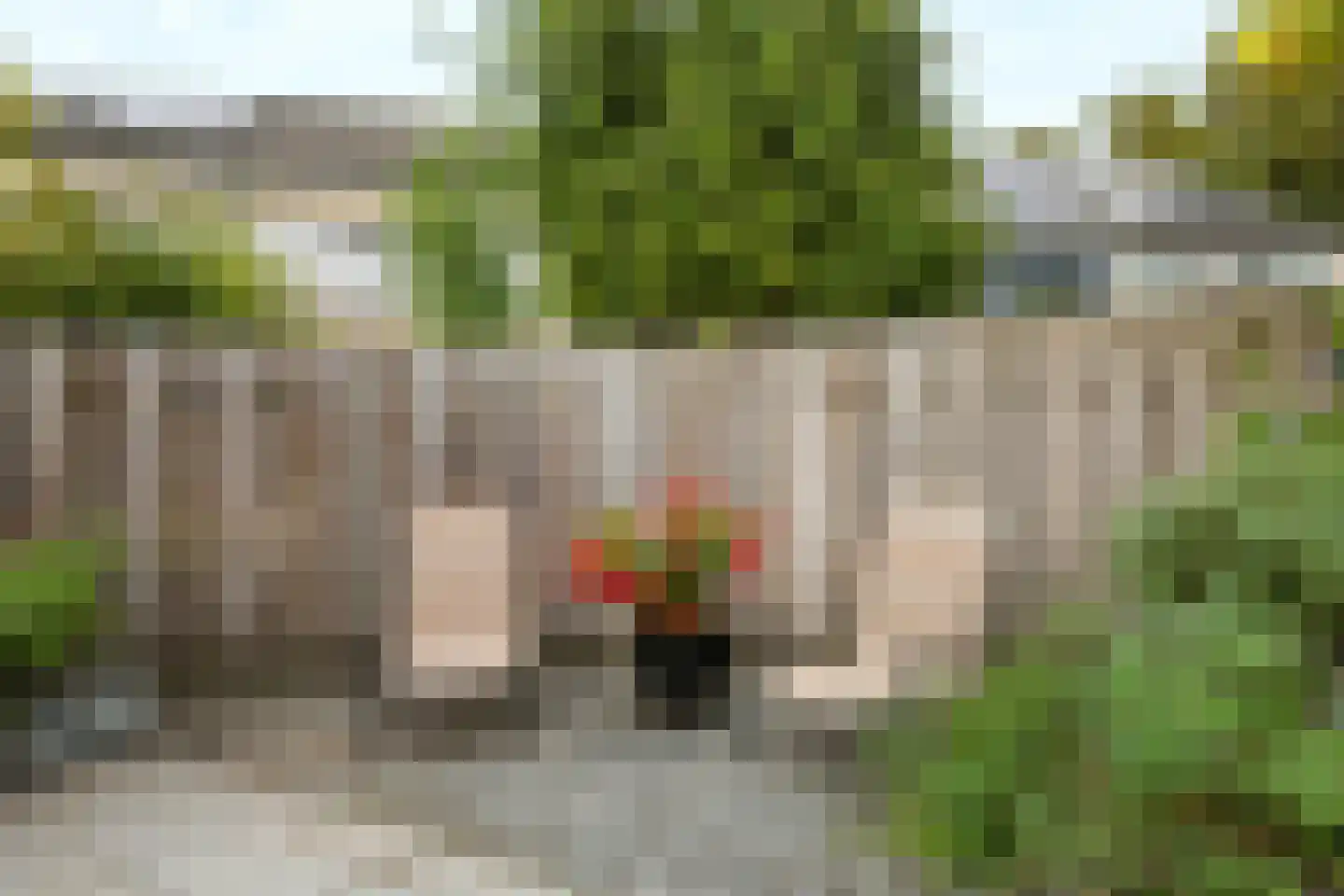 Tichelaarsdonk 149 Apeldoorn thumbnail 5