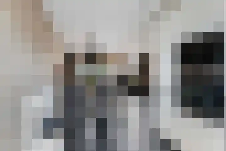 Tichelaarsdonk 155 Apeldoorn thumbnail 14