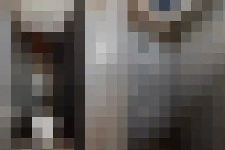 Tichelaarsdonk 155 Apeldoorn thumbnail 22