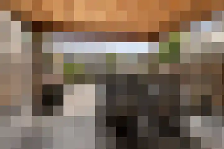 Tichelaarsdonk 155 Apeldoorn thumbnail 25