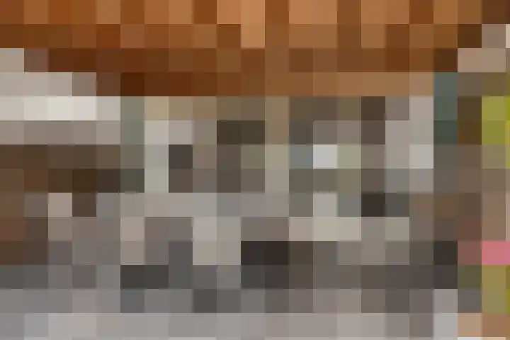 Tichelaarsdonk 155 Apeldoorn thumbnail 26