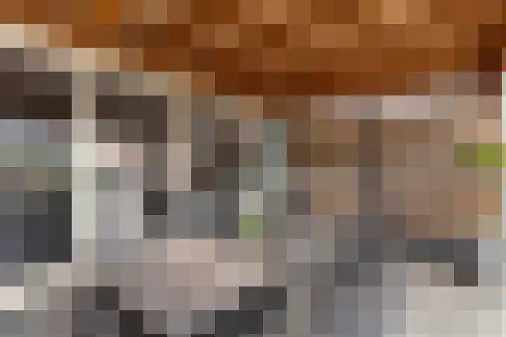 Tichelaarsdonk 155 Apeldoorn thumbnail 27