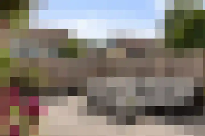 Tichelaarsdonk 155 Apeldoorn thumbnail 29