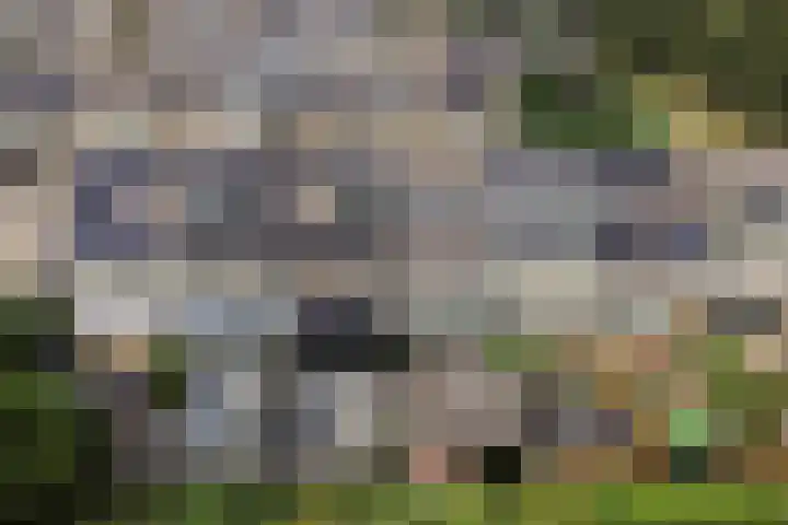 Tichelaarsdonk 155 Apeldoorn thumbnail 32