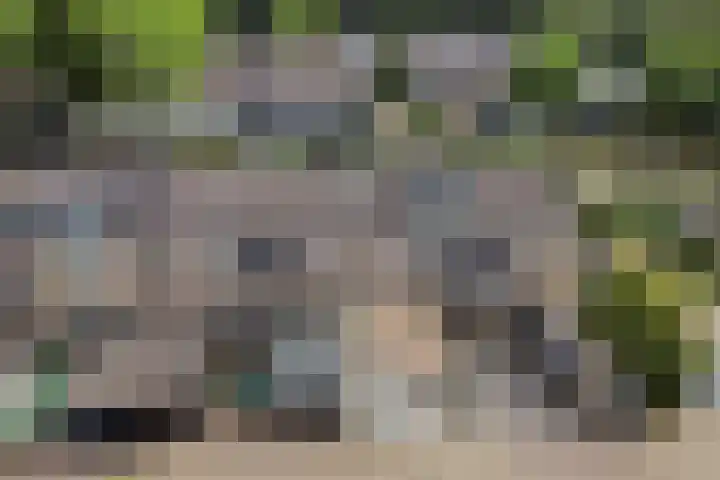 Tichelaarsdonk 155 Apeldoorn thumbnail 33