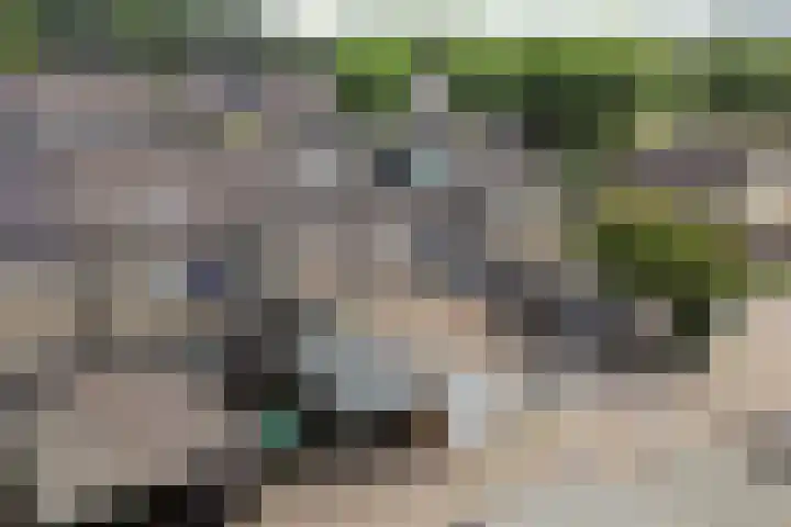 Tichelaarsdonk 155 Apeldoorn thumbnail 34