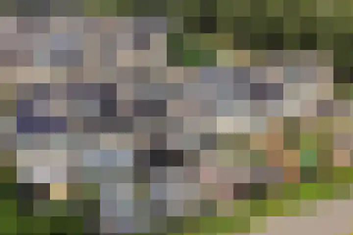 Tichelaarsdonk 155 Apeldoorn thumbnail 4