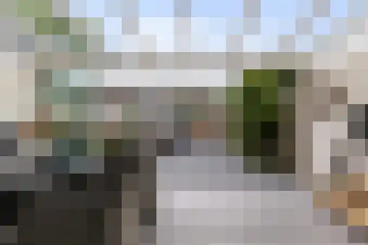 Tichelaarsdonk 156 Apeldoorn thumbnail 10