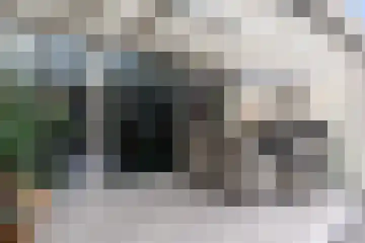 Tichelaarsdonk 156 Apeldoorn thumbnail 11