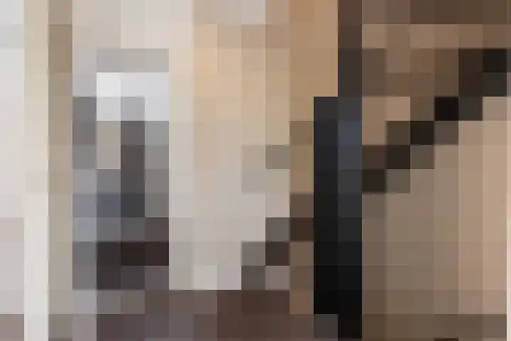 Tichelaarsdonk 156 Apeldoorn thumbnail 14