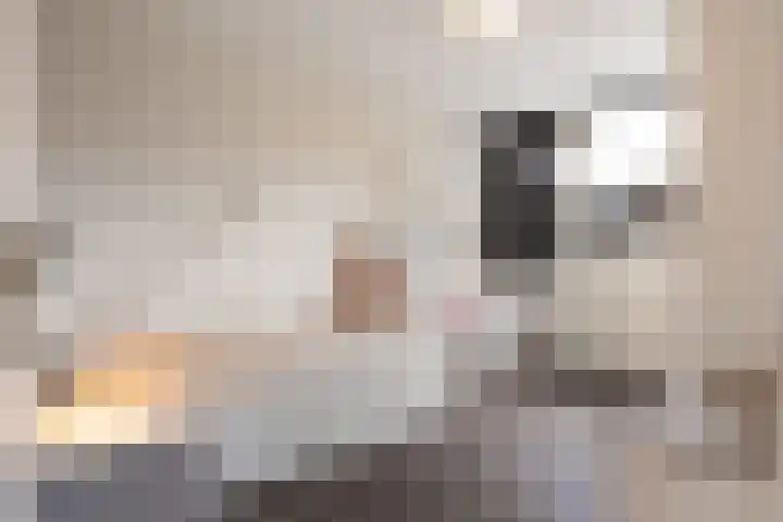 Tichelaarsdonk 156 Apeldoorn thumbnail 18