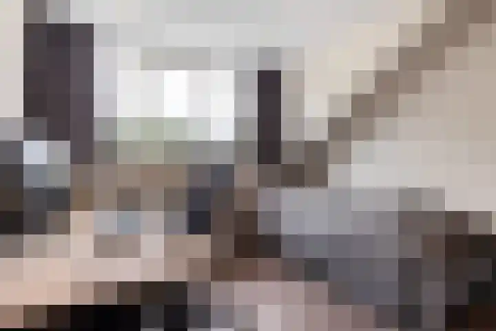 Tichelaarsdonk 156 Apeldoorn thumbnail 26