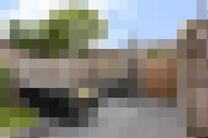 Tichelaarsdonk 156 Apeldoorn thumbnail 28