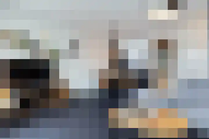 Tichelaarsdonk 156 Apeldoorn thumbnail 9