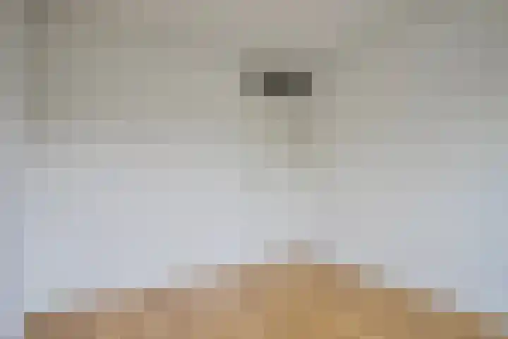 Tichelaarsdonk 203 Apeldoorn thumbnail 14