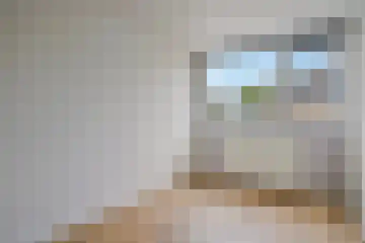 Tichelaarsdonk 203 Apeldoorn thumbnail 15