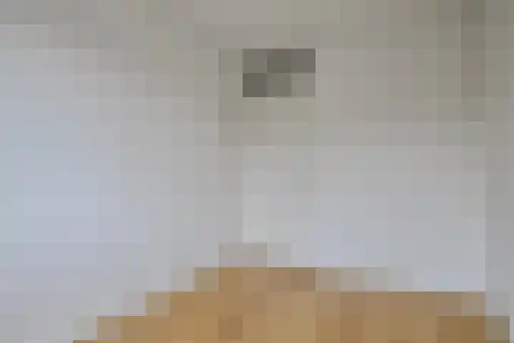 Tichelaarsdonk 203 Apeldoorn thumbnail 16