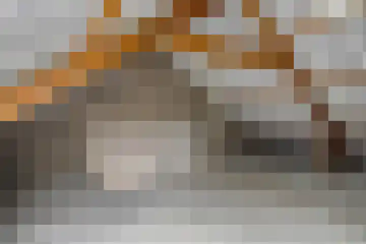 Tichelaarsdonk 203 Apeldoorn thumbnail 17