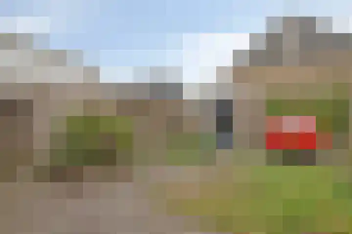 Tichelaarsdonk 203 Apeldoorn thumbnail 18