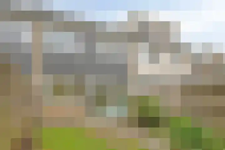 Tichelaarsdonk 203 Apeldoorn thumbnail 19
