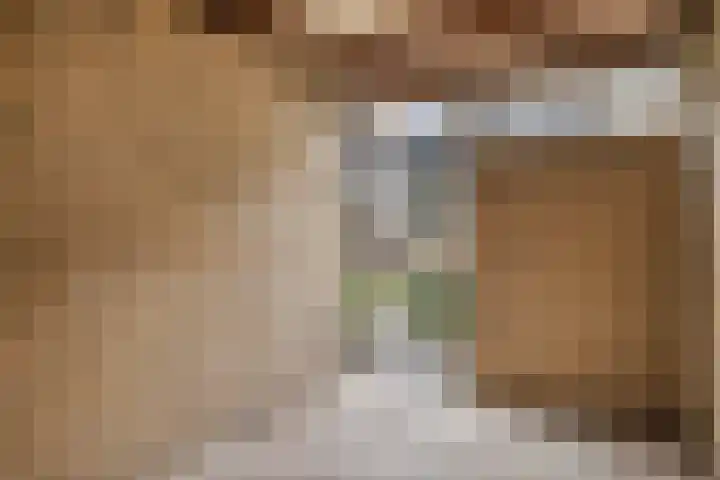 Tichelaarsdonk 203 Apeldoorn thumbnail 20