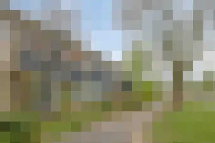 Tichelaarsdonk 203 Apeldoorn thumbnail 22