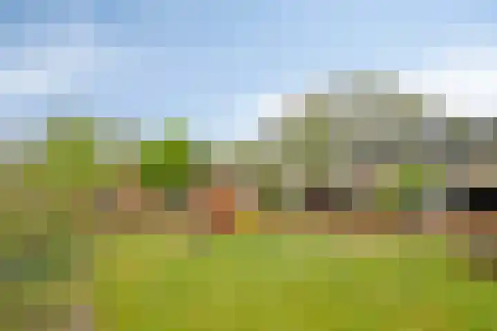 Tichelaarsdonk 203 Apeldoorn thumbnail 24