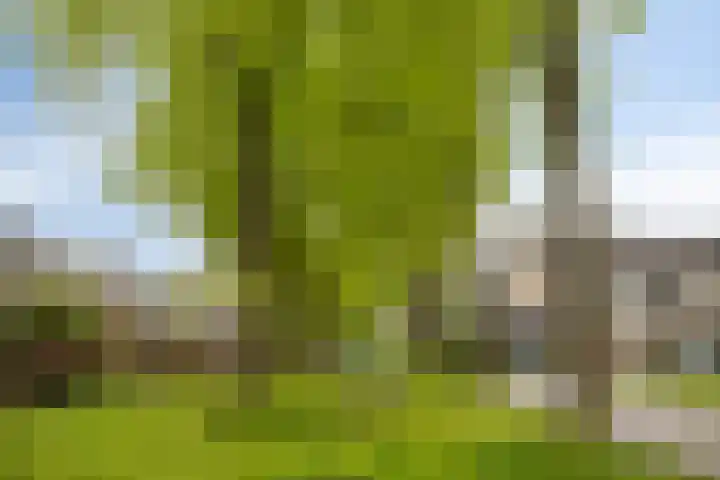 Tichelaarsdonk 203 Apeldoorn thumbnail 25