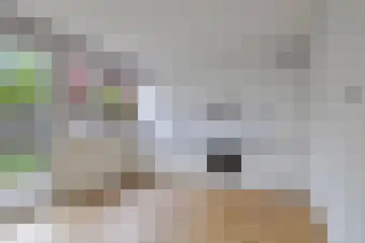 Tichelaarsdonk 203 Apeldoorn thumbnail 4