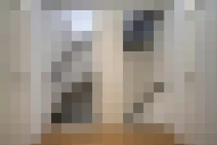 Tichelaarsdonk 203 Apeldoorn thumbnail 8
