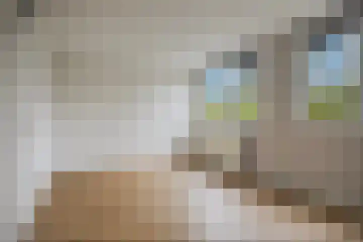 Tichelaarsdonk 203 Apeldoorn thumbnail 9