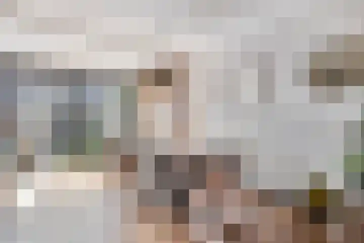 Tichelaarsdonk 302 Apeldoorn thumbnail 10