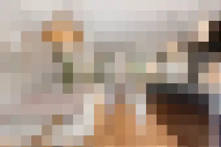 Tichelaarsdonk 302 Apeldoorn thumbnail 11