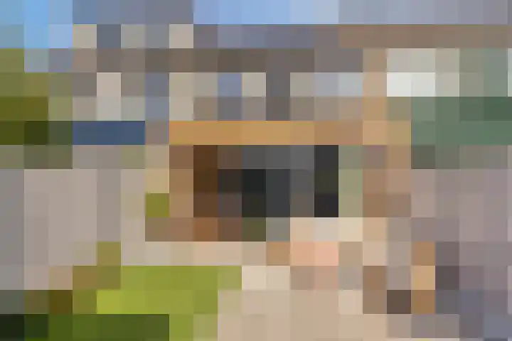 Tichelaarsdonk 302 Apeldoorn thumbnail 12