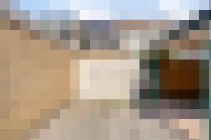 Tichelaarsdonk 302 Apeldoorn thumbnail 15
