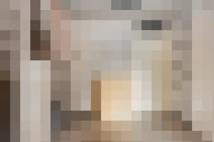 Tichelaarsdonk 302 Apeldoorn thumbnail 16