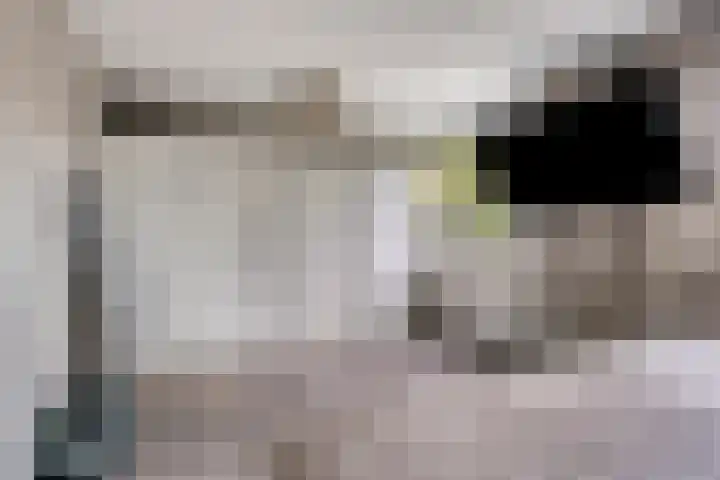 Tichelaarsdonk 302 Apeldoorn thumbnail 18