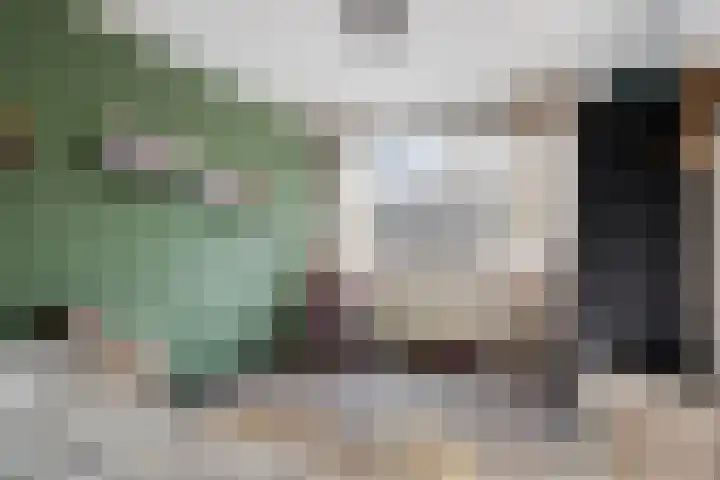 Tichelaarsdonk 302 Apeldoorn thumbnail 19