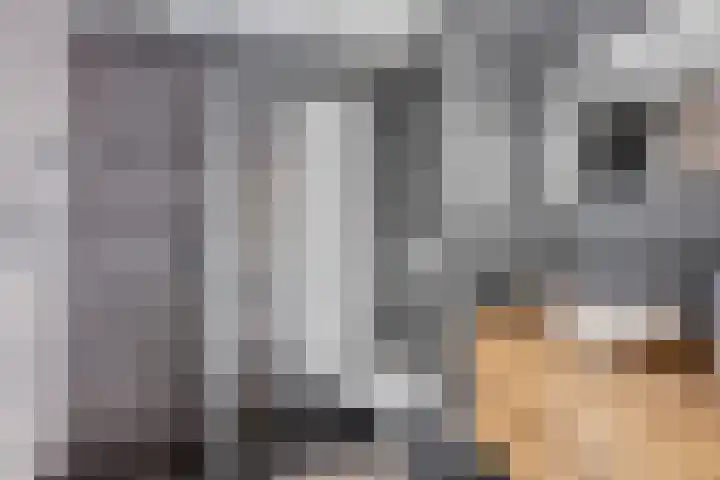 Tichelaarsdonk 302 Apeldoorn thumbnail 23